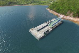 The improvement works of Lai Chi Chong Pier will be completed by the end of this year.  The new pier will provide two berths, one of which adopts a floating platform that can adjust up and down with the sea level, making it easier for vessels to berth and for passengers to board or alight. Pictured are the existing pier and the artist’s impression of the new pier.