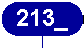 213_