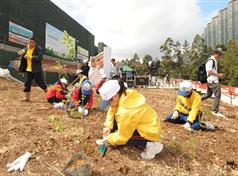 More than 50 students planted trees at a Community Planting Day under the Landslip Prevention and Mitigation Programme in Tung Chung, today (March 3).