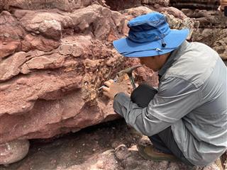 Dinosaur fossils were discovered for the first time in Hong Kong. Photo shows an expert of the Institute of Vertebrate Paleontology and Paleoanthropology of the Chinese Academy of Sciences collecting fossil specimens on Port Island in the Hong Kong UNESCO Global Geopark.