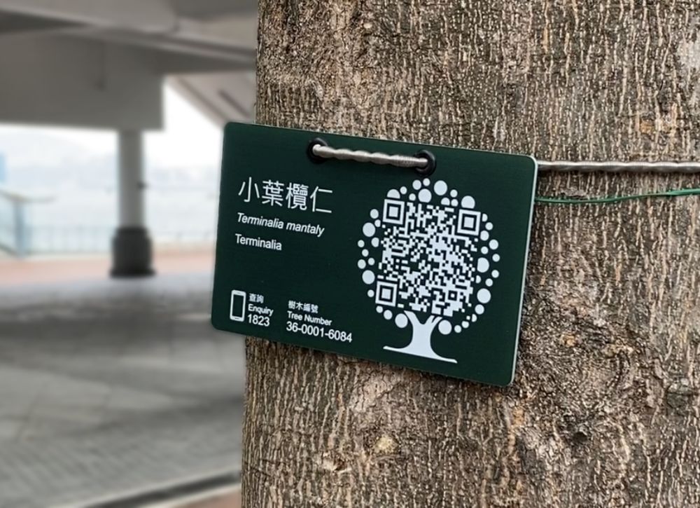 「树牌」印有树木的基本资料及二维条码树木标签。
